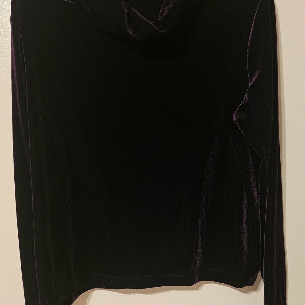 Jaclyn Smith Velvet Top in Deep Purple